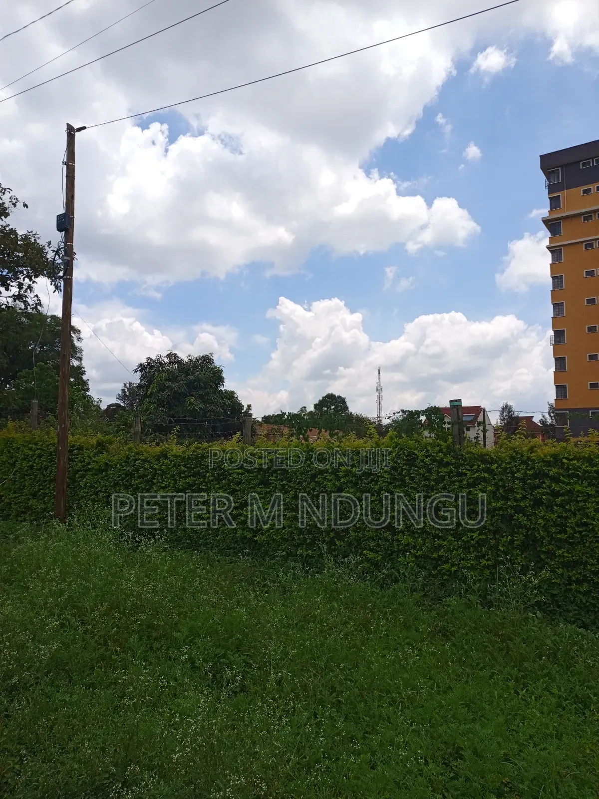 Prime 5.2 Acres Safari Park