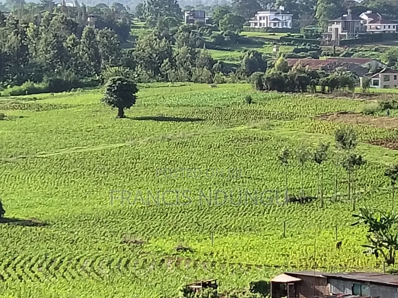 Residential Plot Anmer Next to Migaa Estate.
