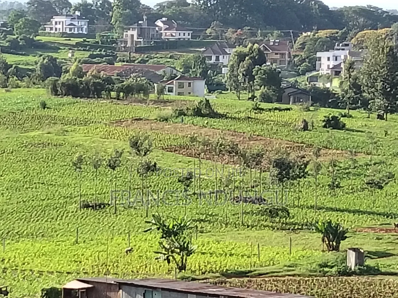 Residential Plot Anmer Next to Migaa Estate.