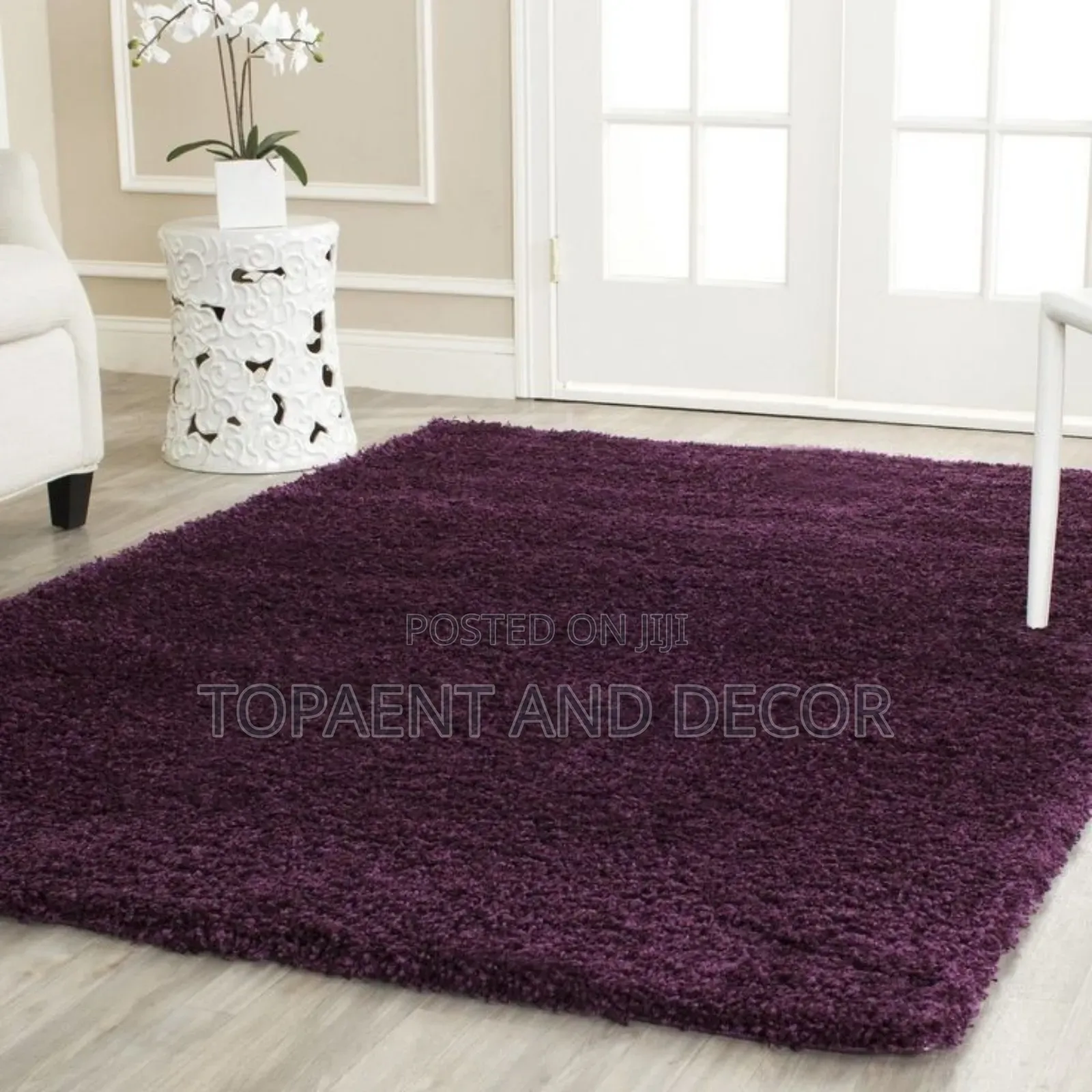 Super Soft Fluffy Area Rugs Carpet