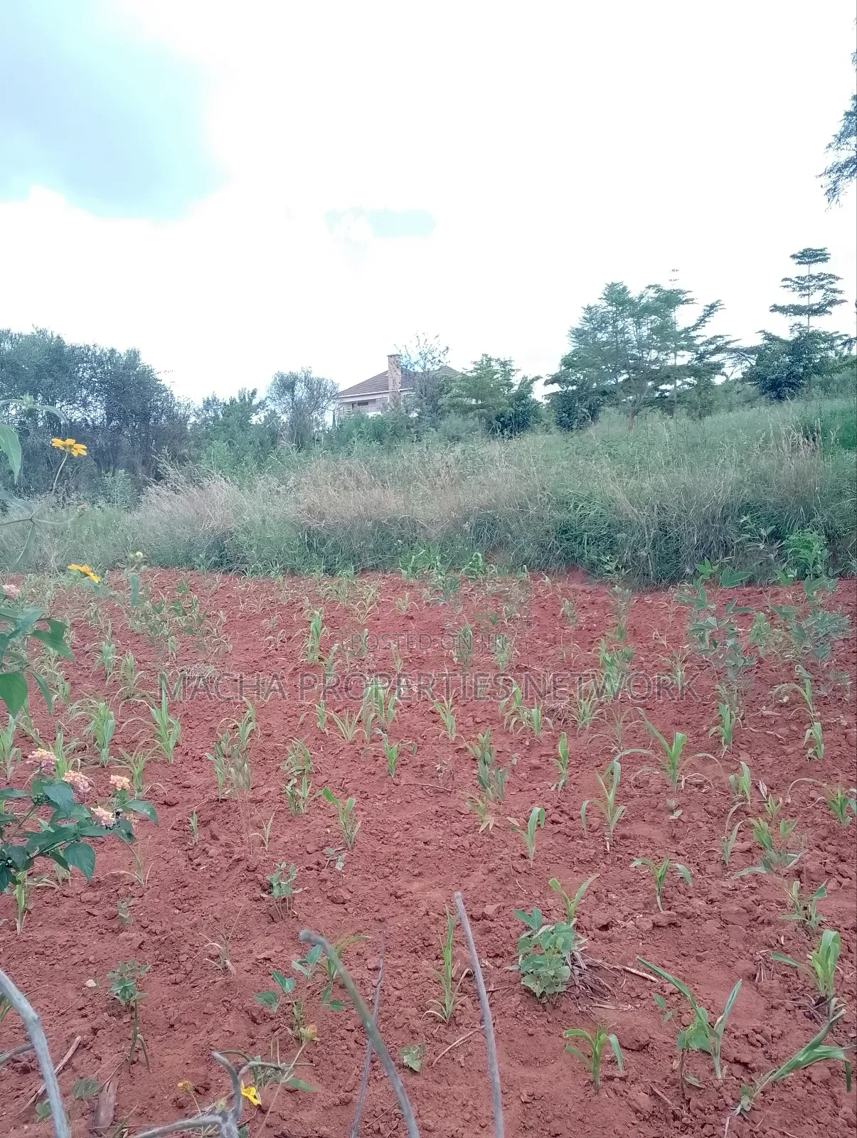 1/2 Acre on Machakos -Katheka Kai