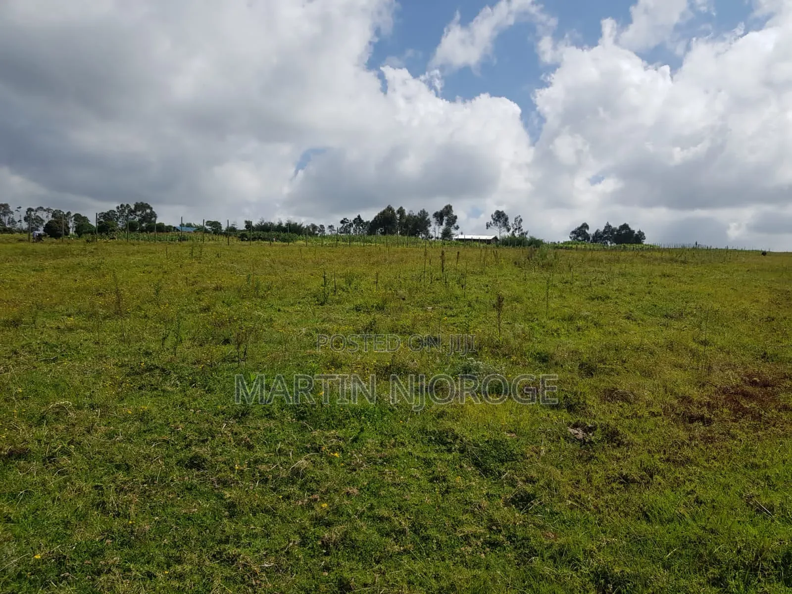 5 Acres Maai Mahiu
