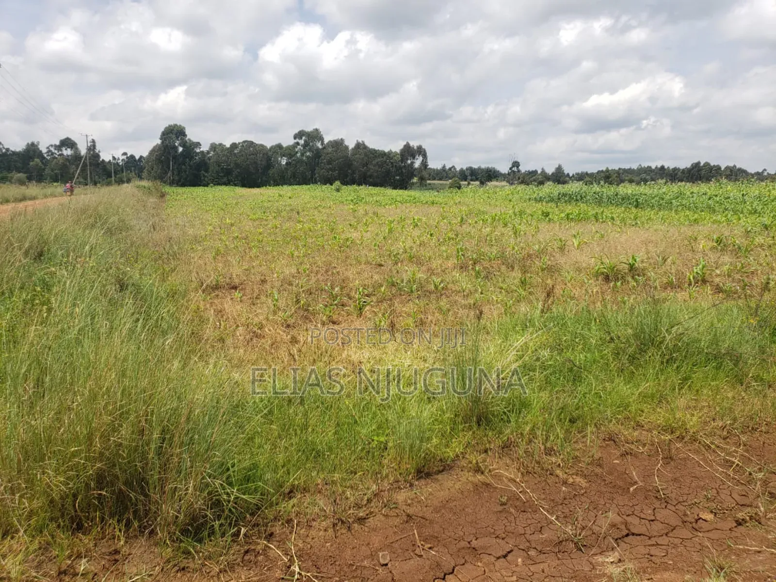 3acre Nyandarua Leshau( Nyahururu Nyeri Rd "Maili Nne" 1.08m