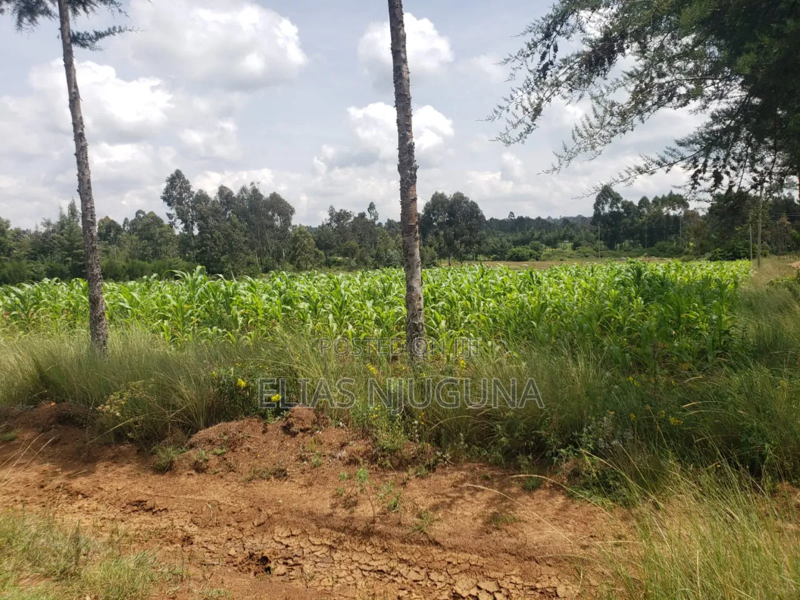 3acre Nyandarua Leshau( Nyahururu Nyeri Rd "Maili Nne" 1.08m