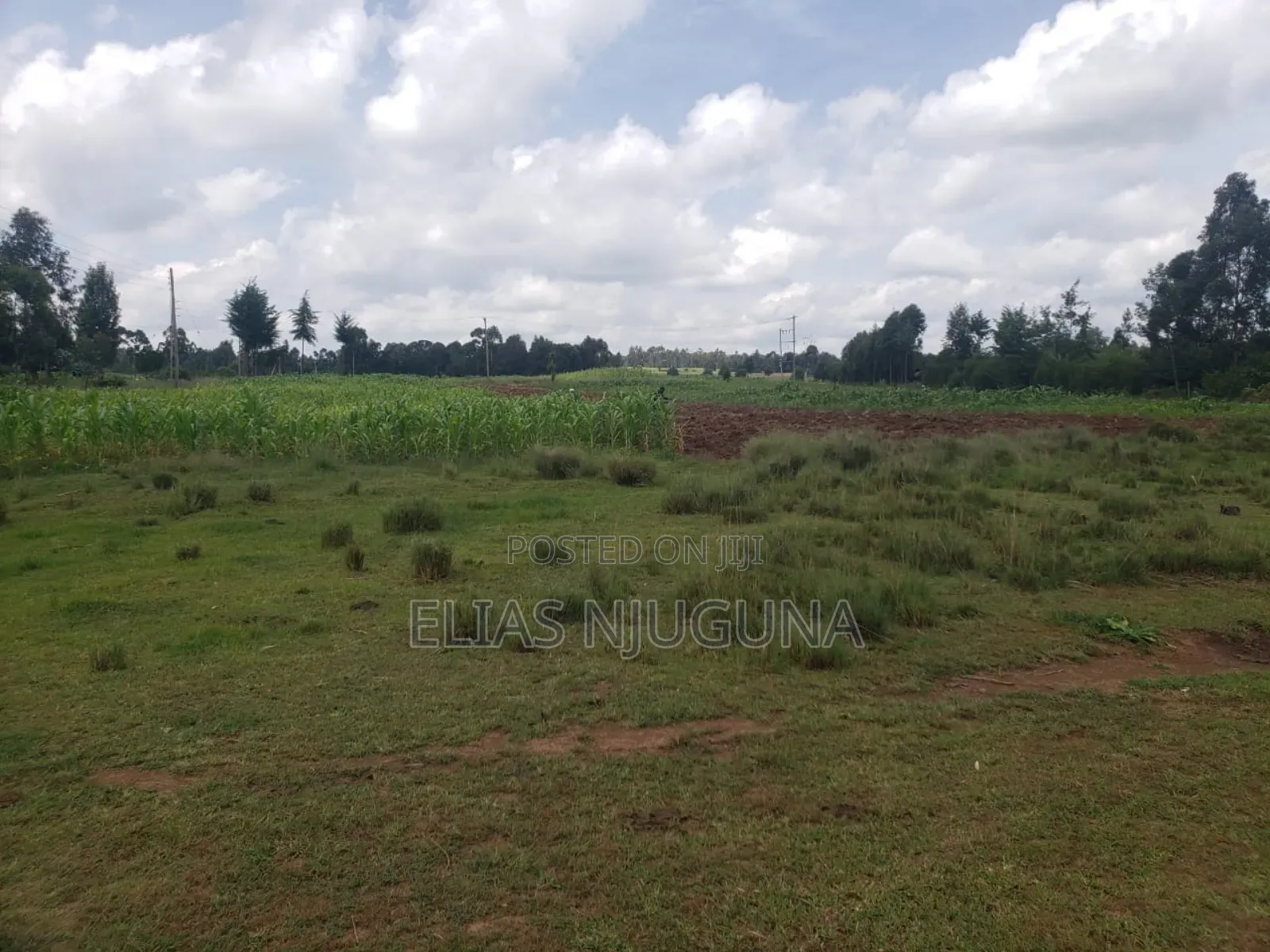 3acre Nyandarua Leshau( Nyahururu Nyeri Rd "Maili Nne" 1.08m