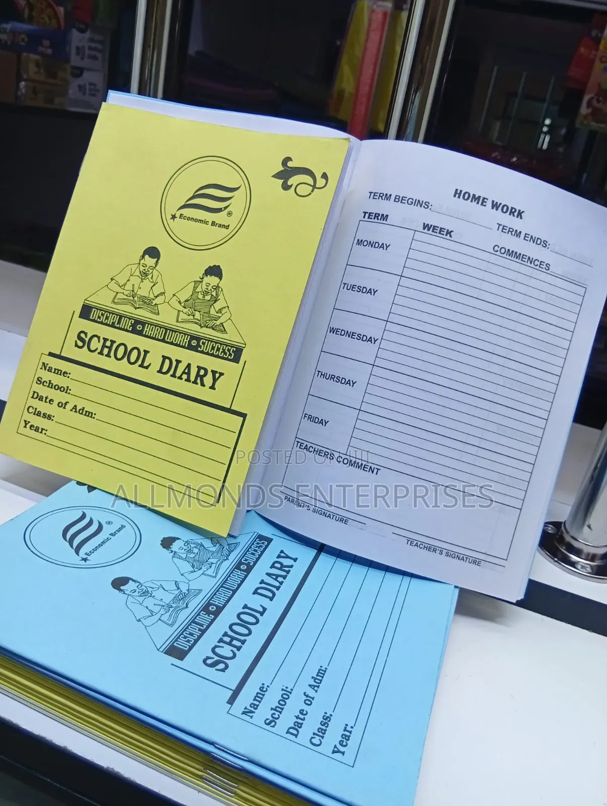 A5 School Diary- Economics