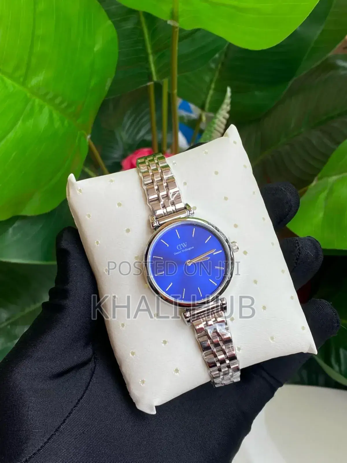 Daniel Wellington Ladies Watch