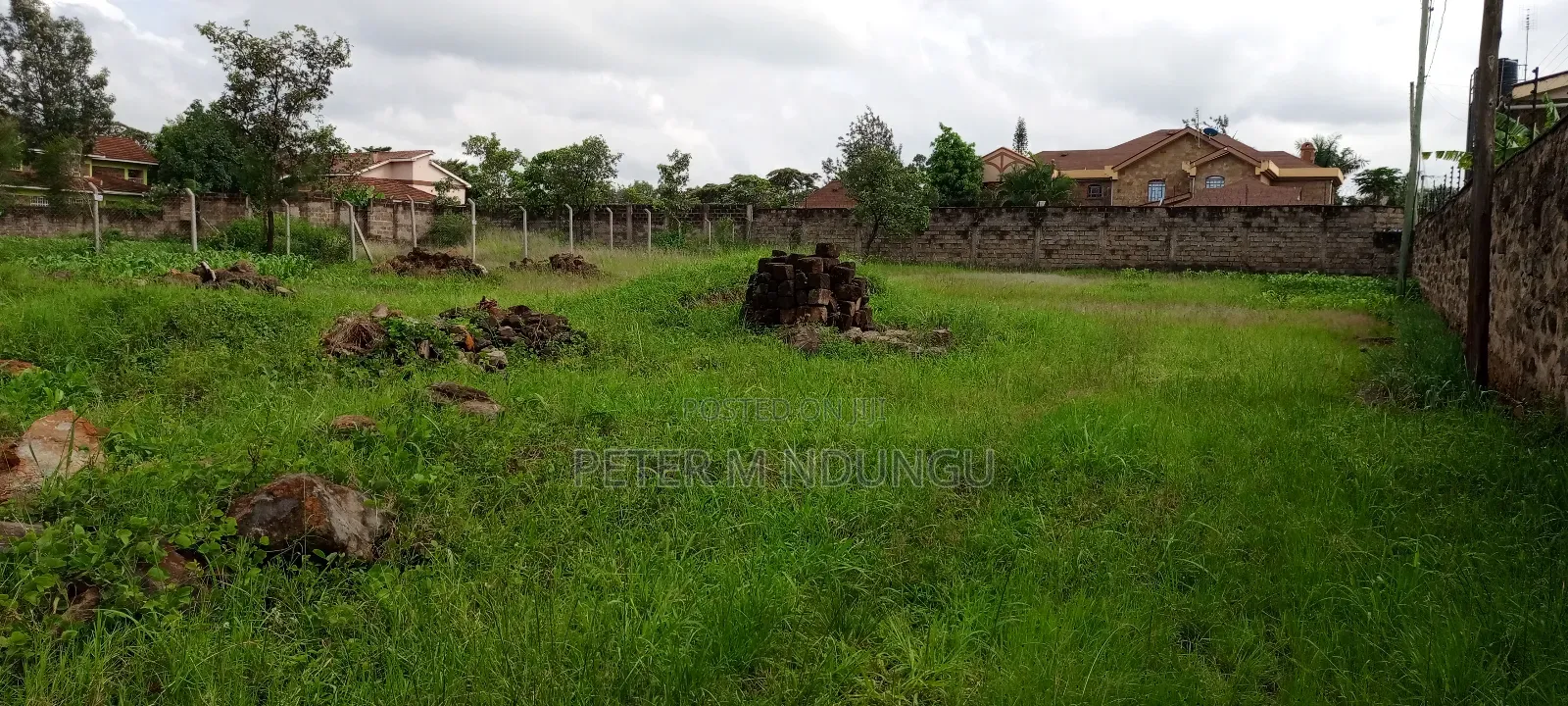 Prime Commercial Plot 1/2 Âcre, Riverside Estate Roosters
