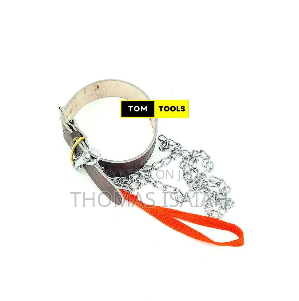 Genuine Leather Collar and 1.2m Chain Leash