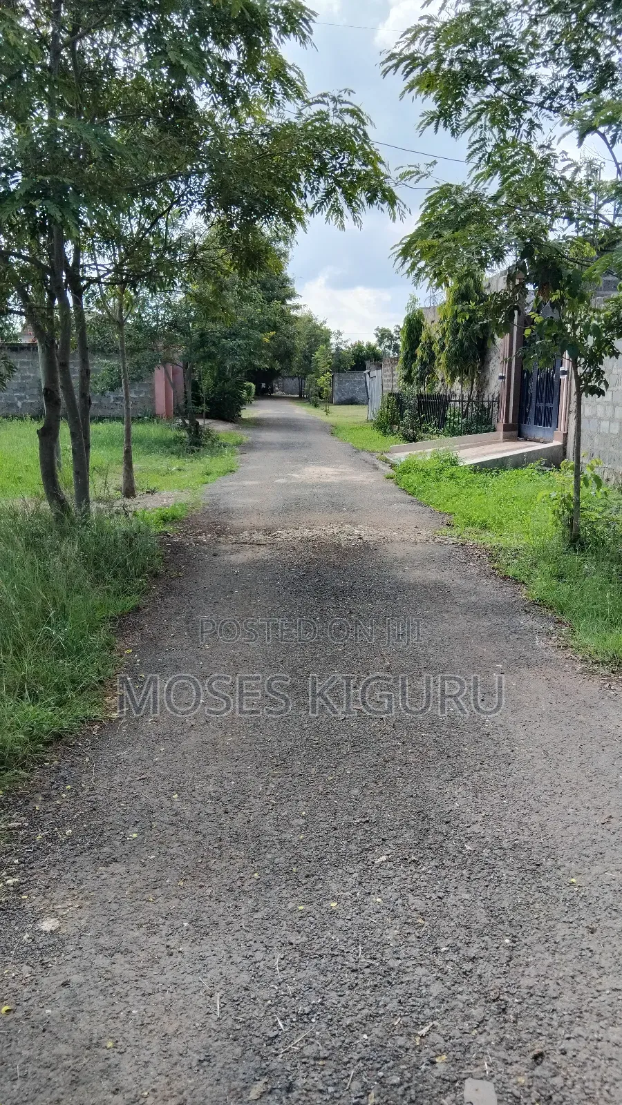 Juja, Kigwe Estate 50x100 Plots.