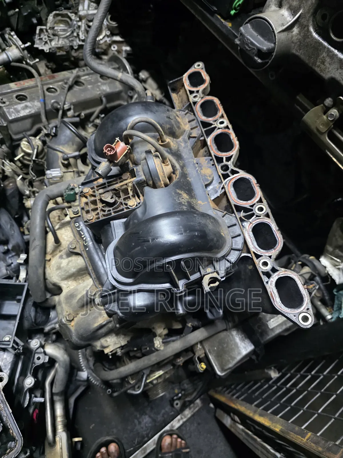 1g Manifold Mark 2