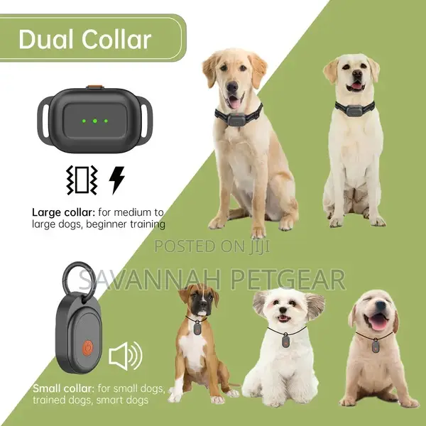 F600 in-Ground Wire Dog Training Fence System Dual Collar