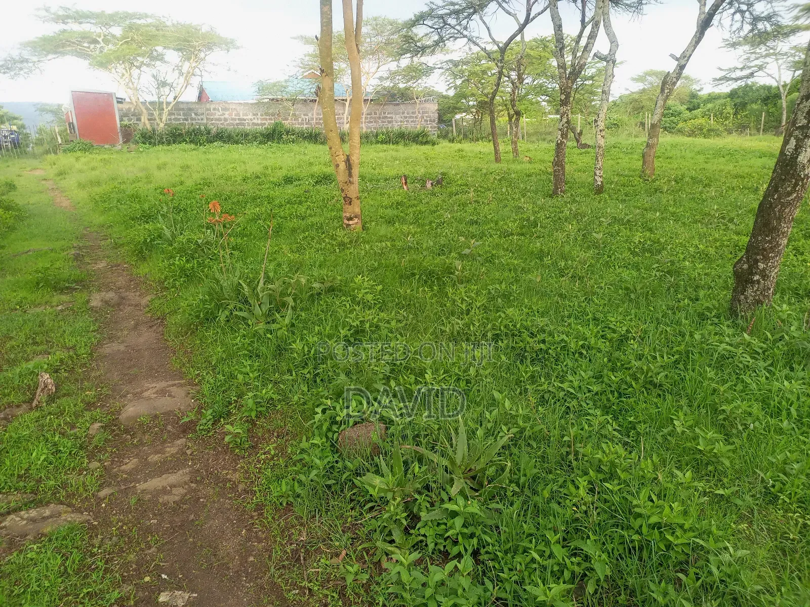 Land for Sale in Pema Estate One Acre