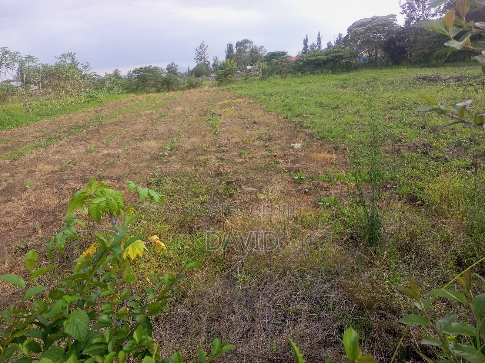 Land for Sale in Pema Estate One Acre