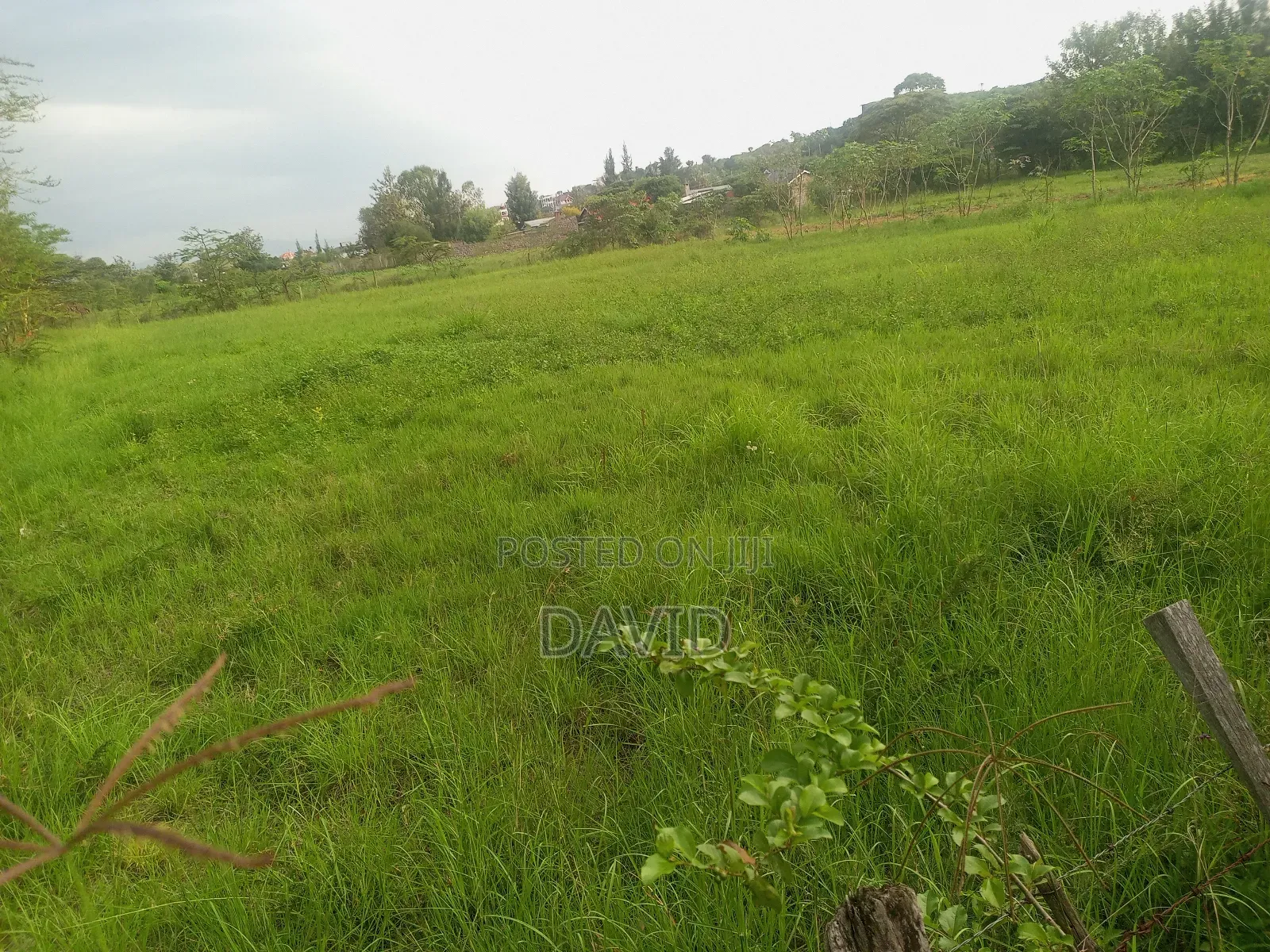 Land for Sale in Pema Estate One Acre