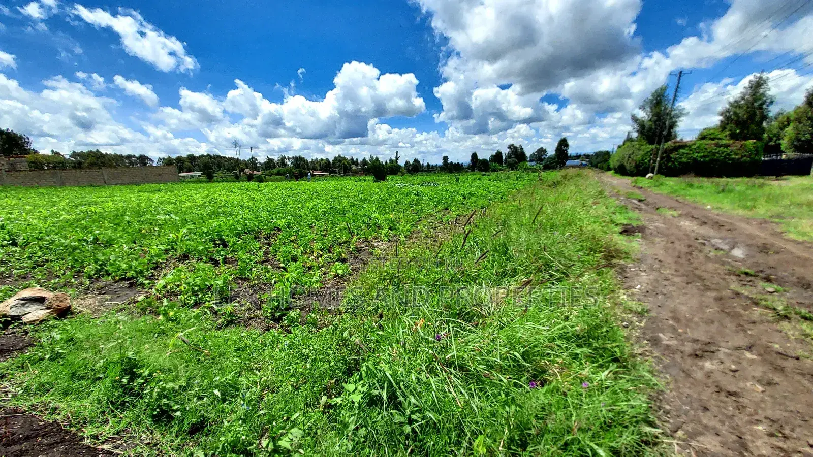 Eighth Plot for Sale at Kamura Area.