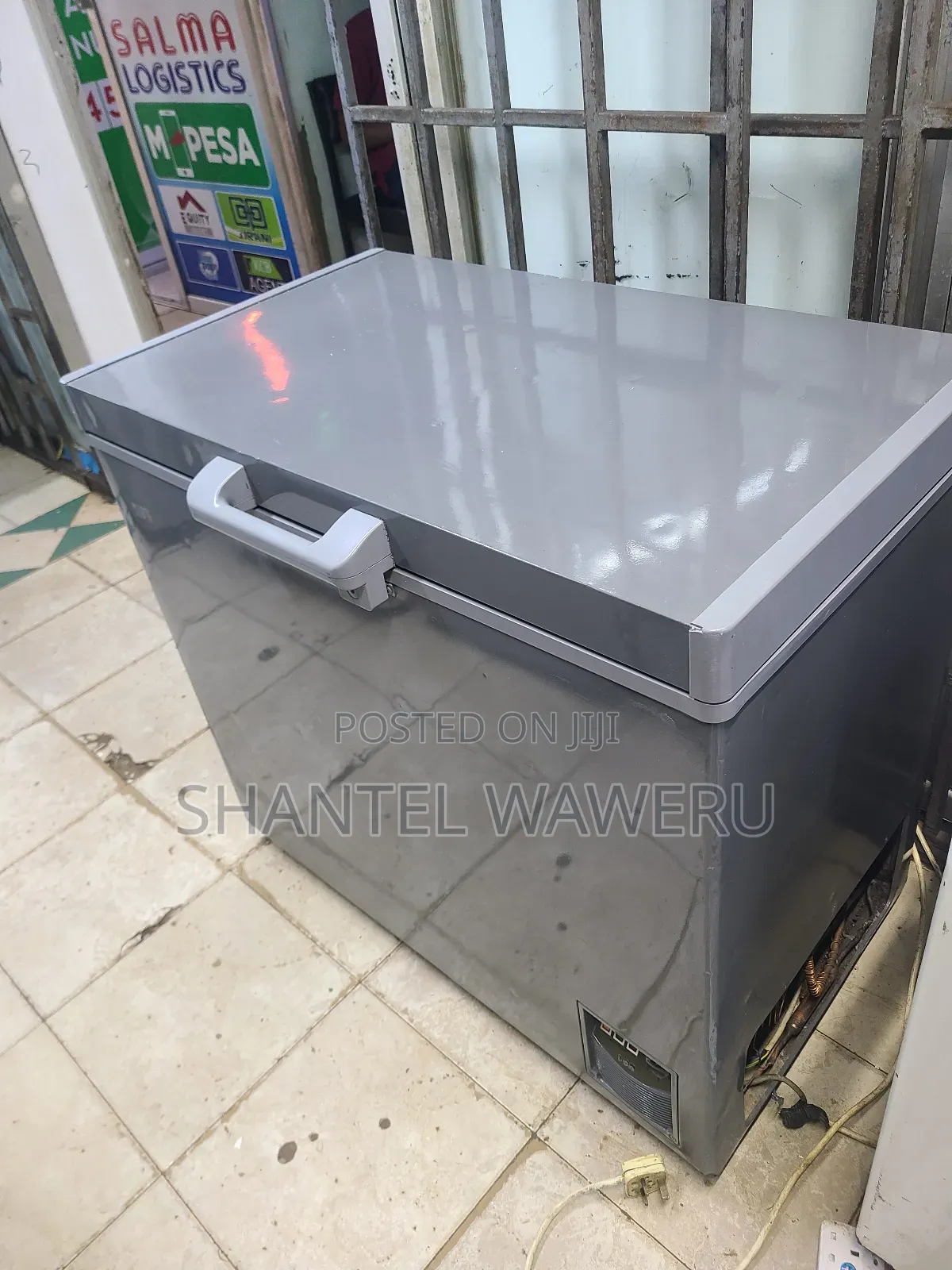 Silver Deep Freezer/Chest One