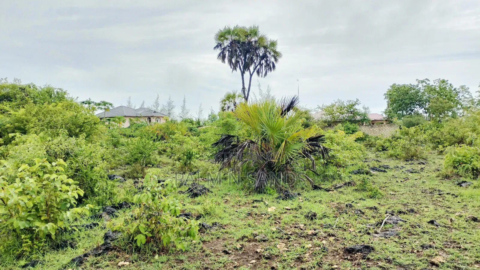 One Acre Prime Land in Kinondo for Sale!! At 