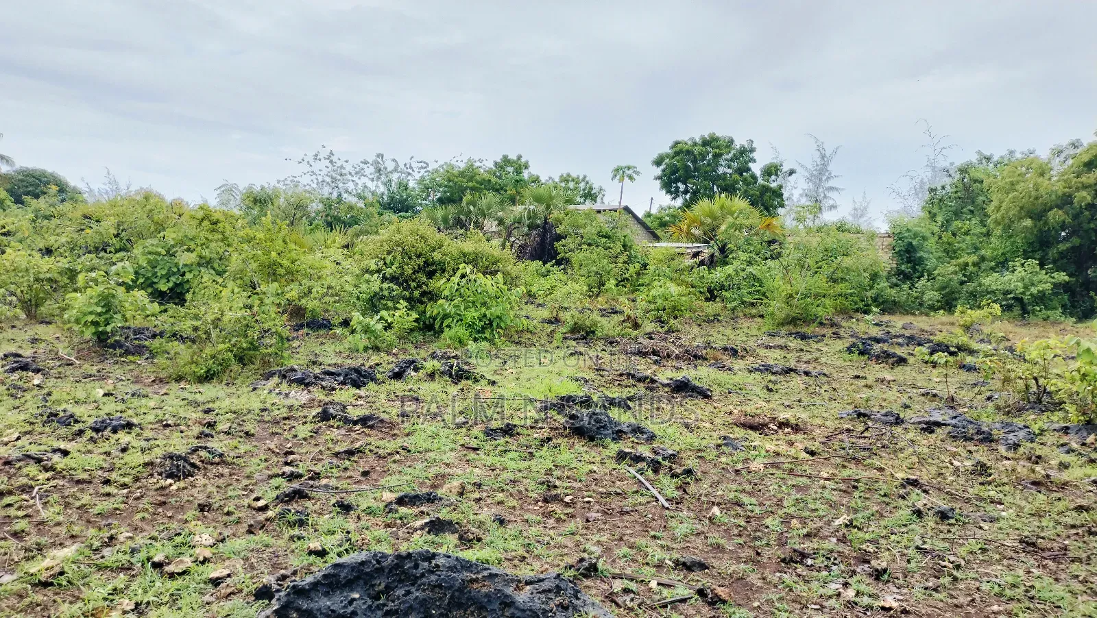 One Acre Prime Land in Kinondo for Sale!! At 