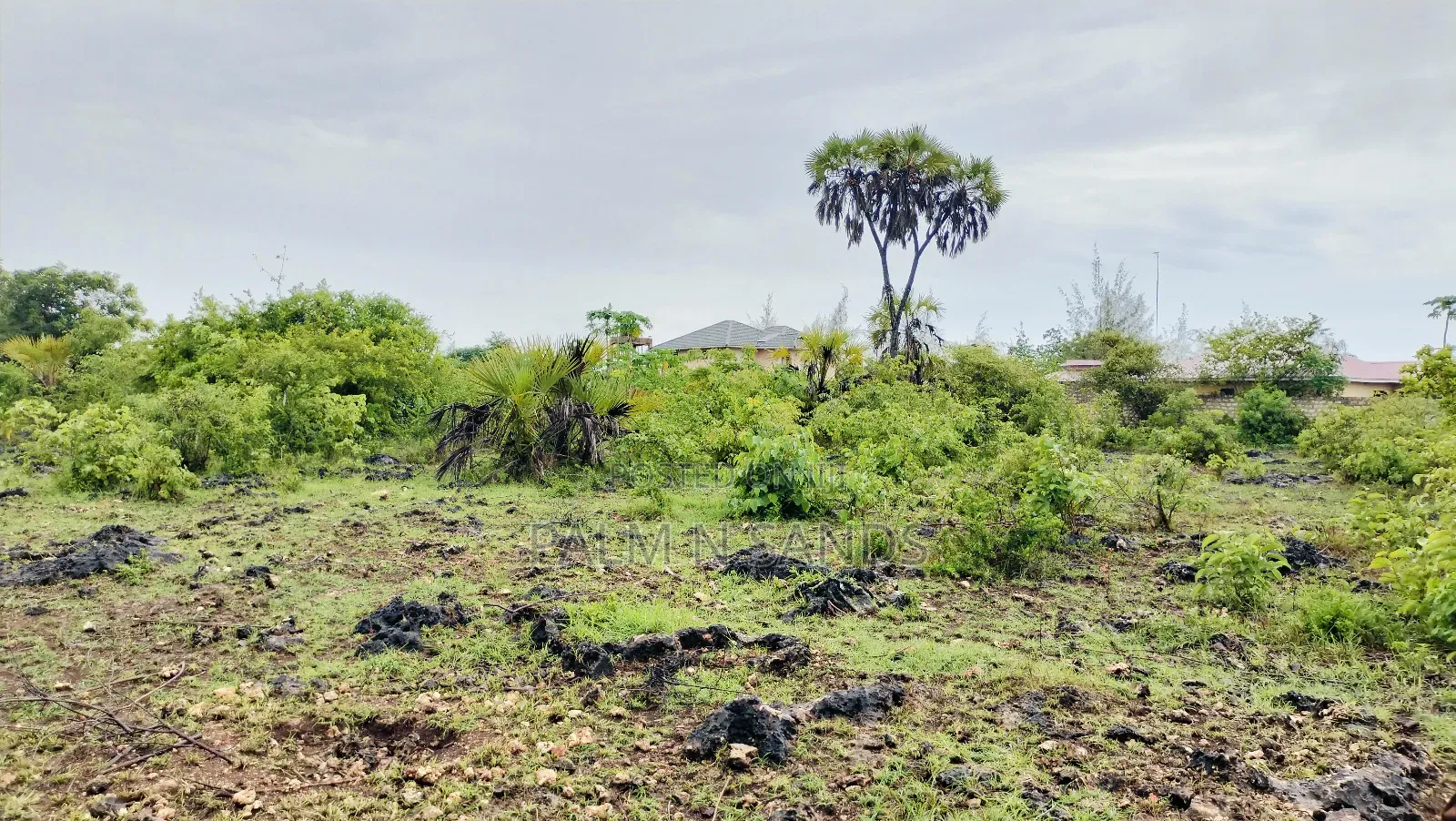 One Acre Prime Land in Kinondo for Sale!! At 