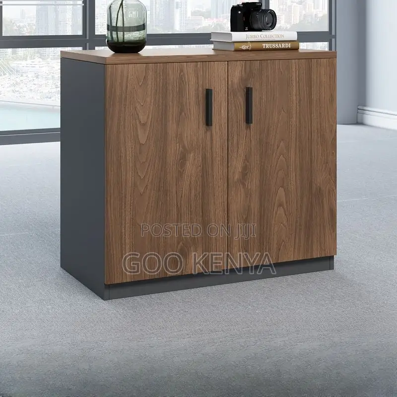 Office Cabinet ; 2.Door Executive Credenza File Cabinet
