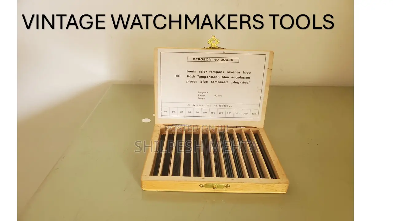 Bergeon Platax No.30036 Watch Makers Tools