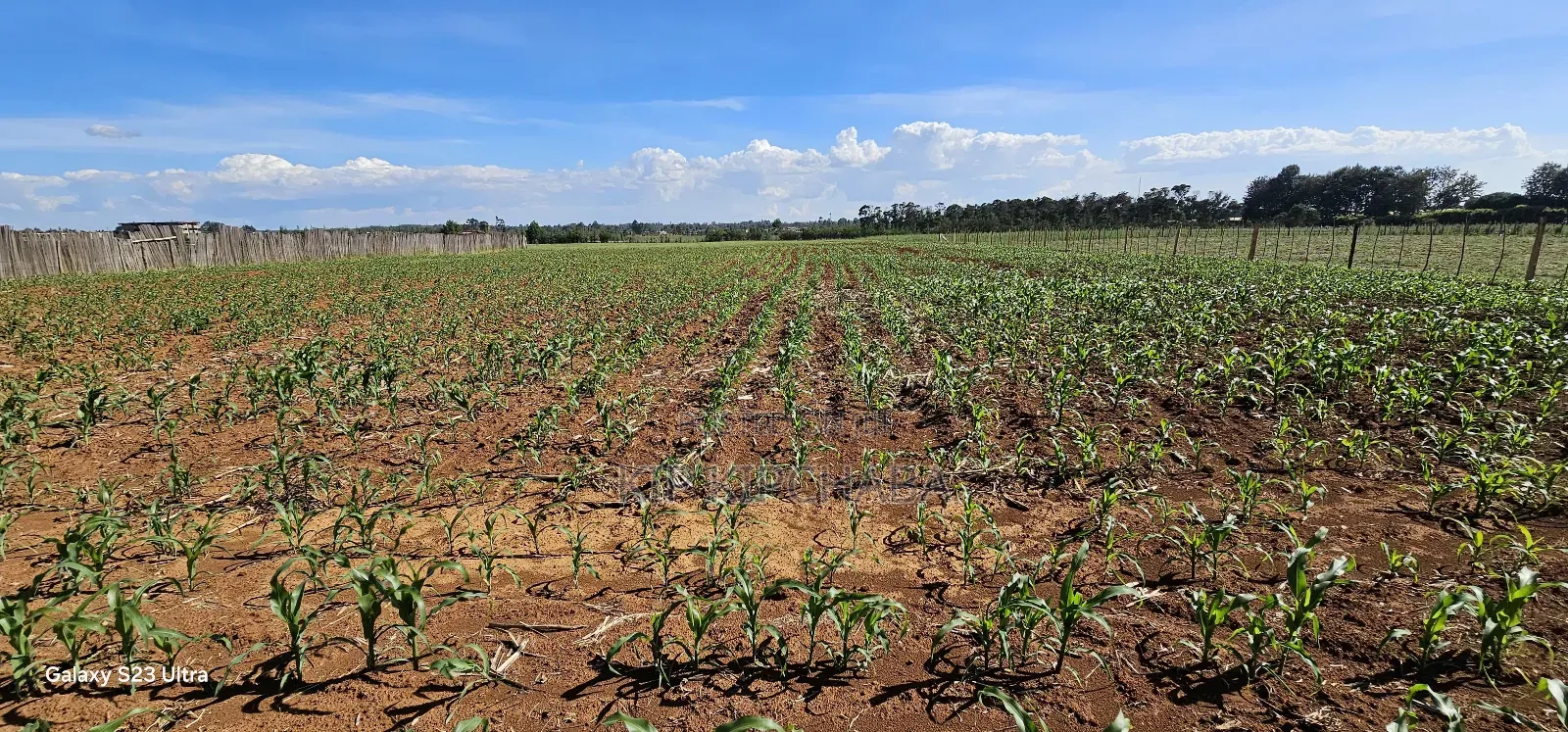 Prime Land For Sale In Moiben Eldoret