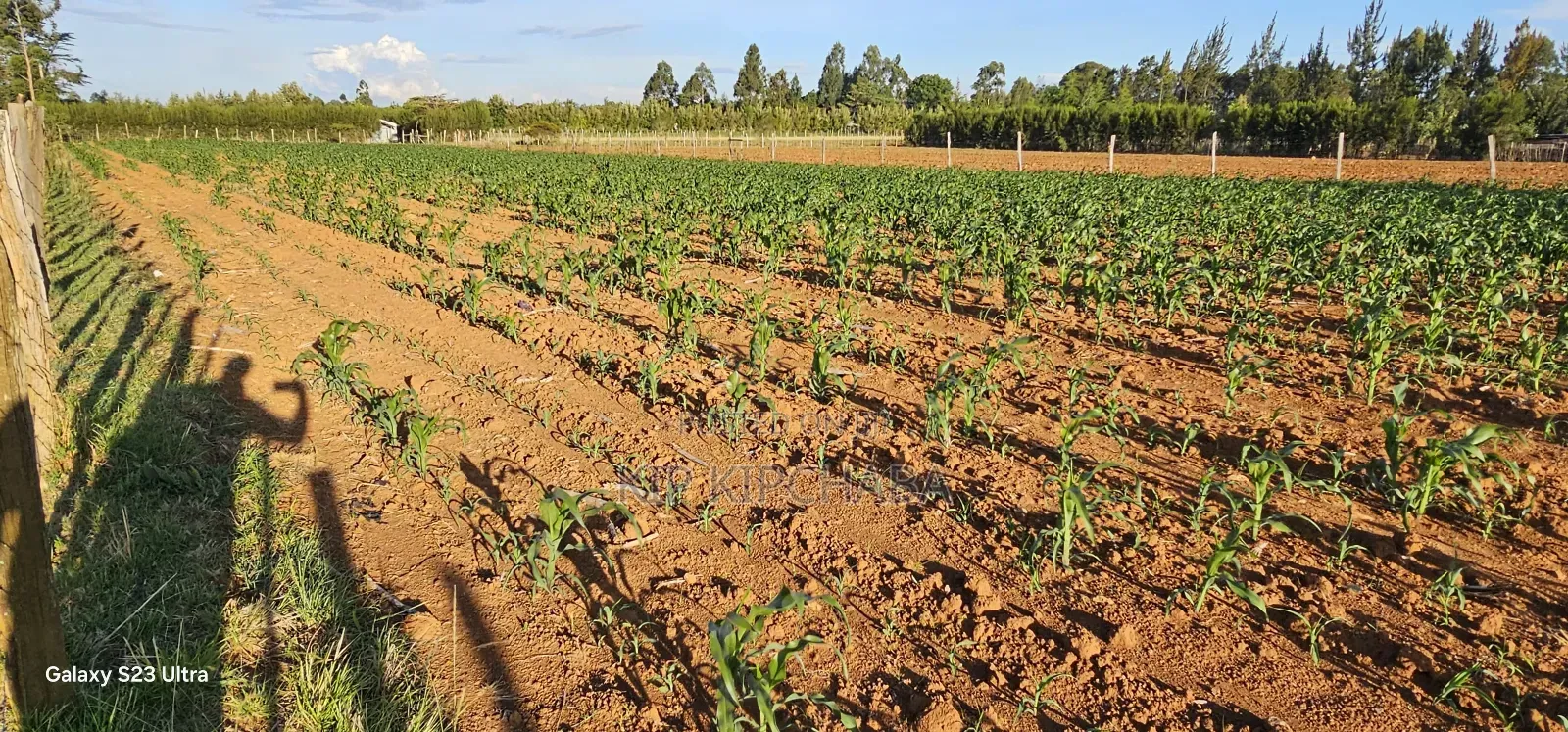 Prime Land For Sale In Moiben Eldoret