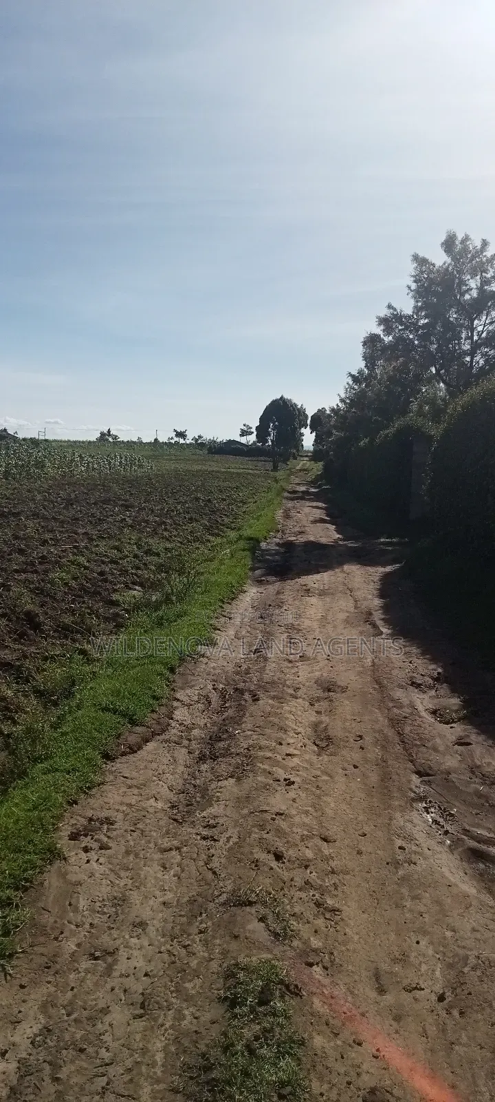 Land on Ihindu Naiva