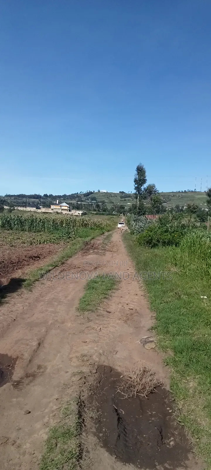 Land on Ihindu Naiva