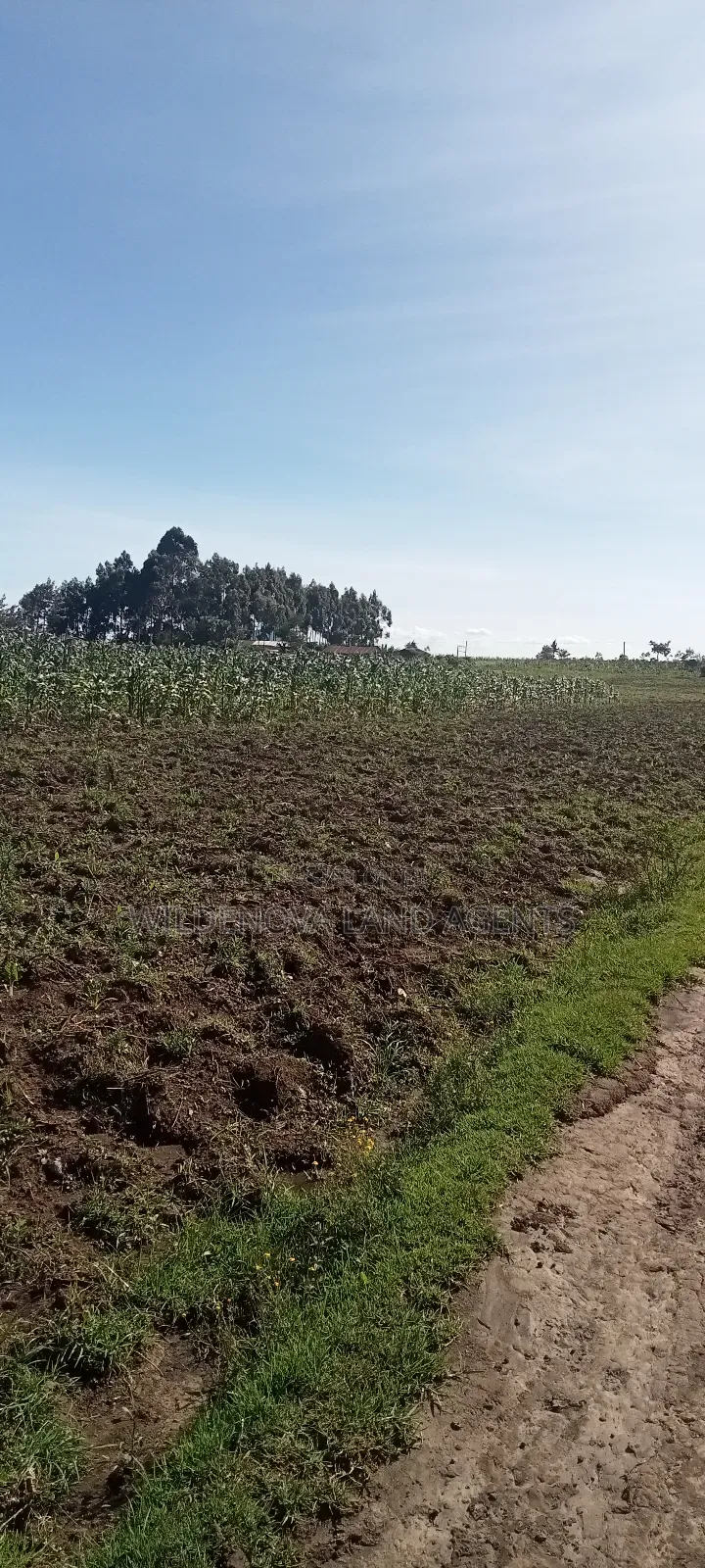 Land on Ihindu Naiva