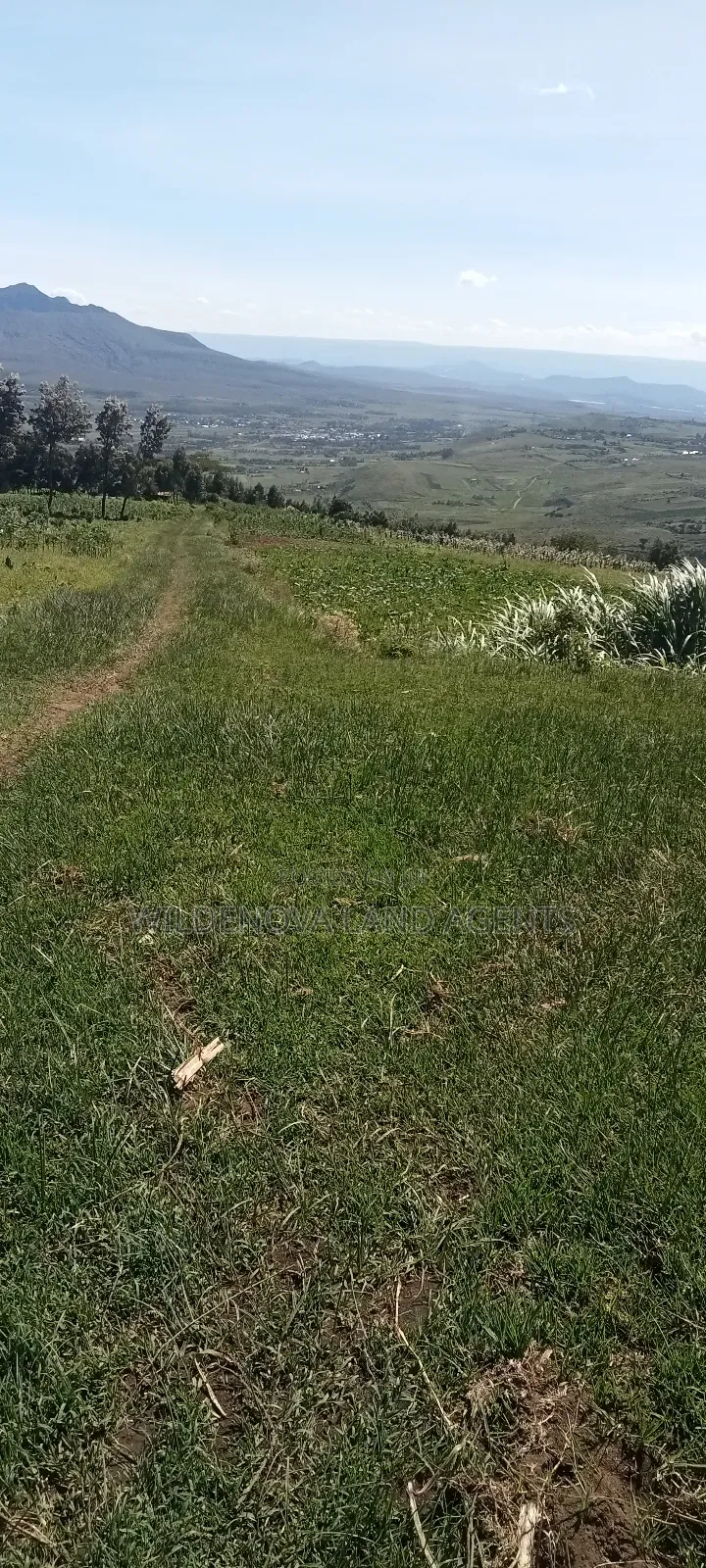 Land on Sale at Flyover Kinangop