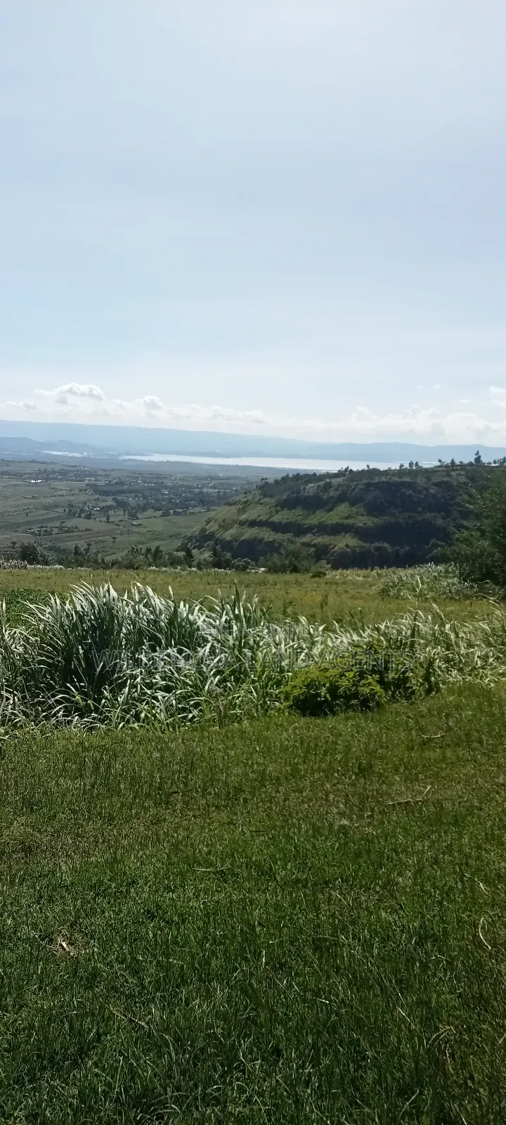 Land on Sale at Flyover Kinangop