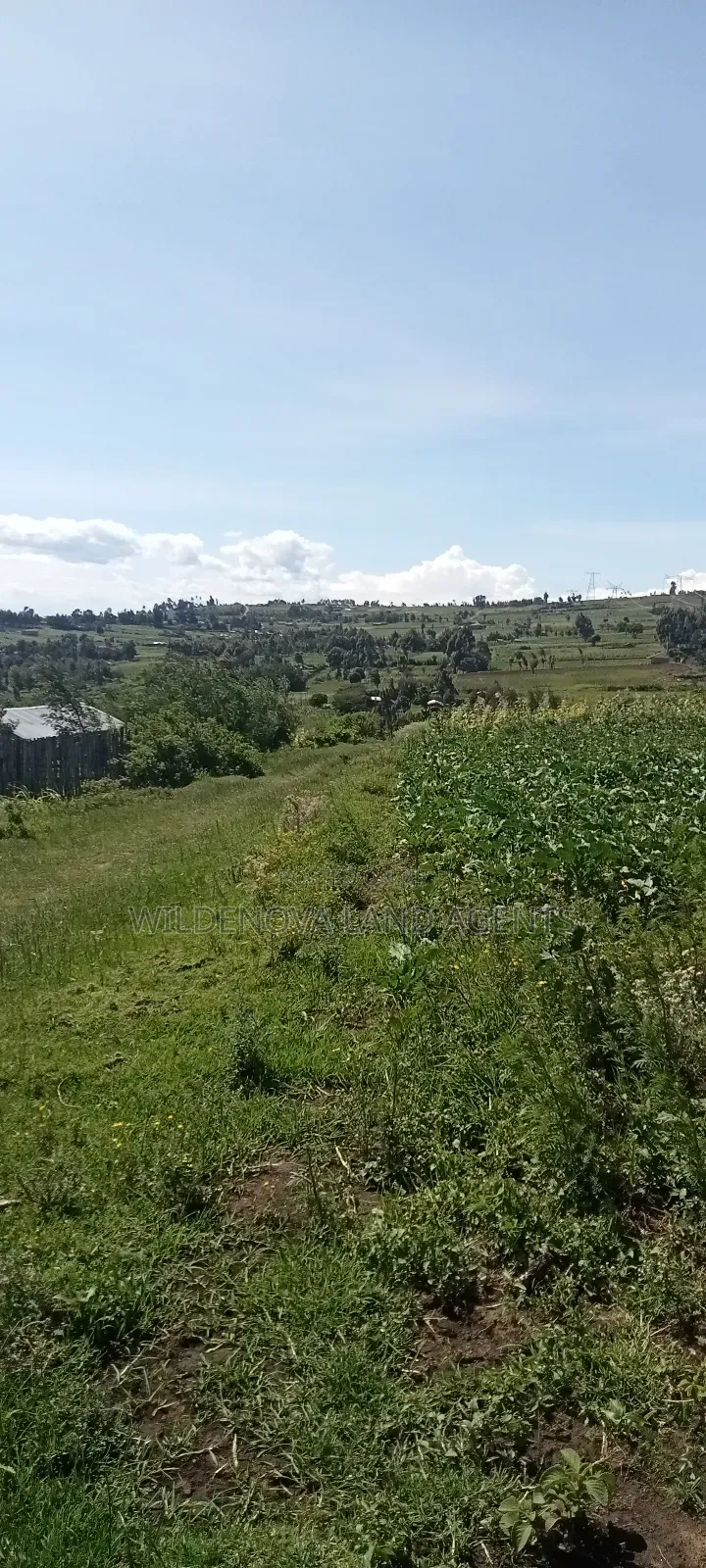 Land on Sale at Flyover Kinangop