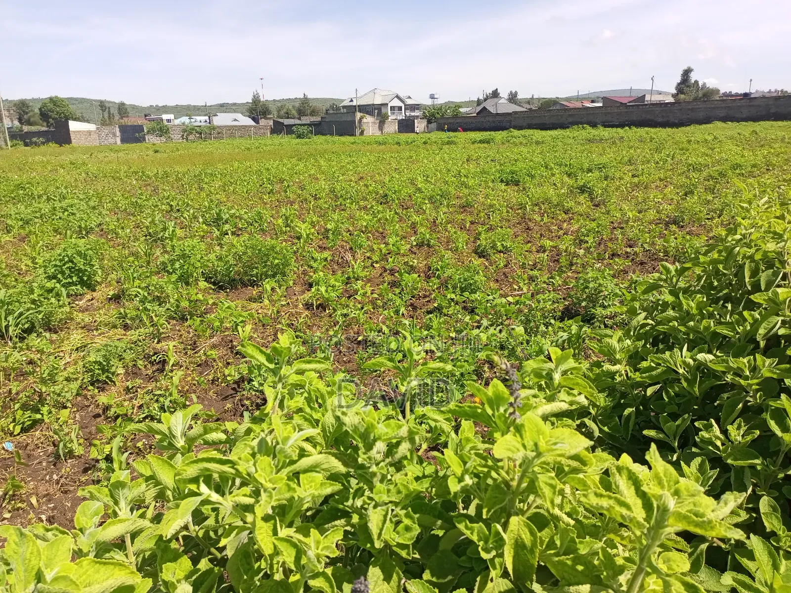 Plot for Sale Jodes Pipeline