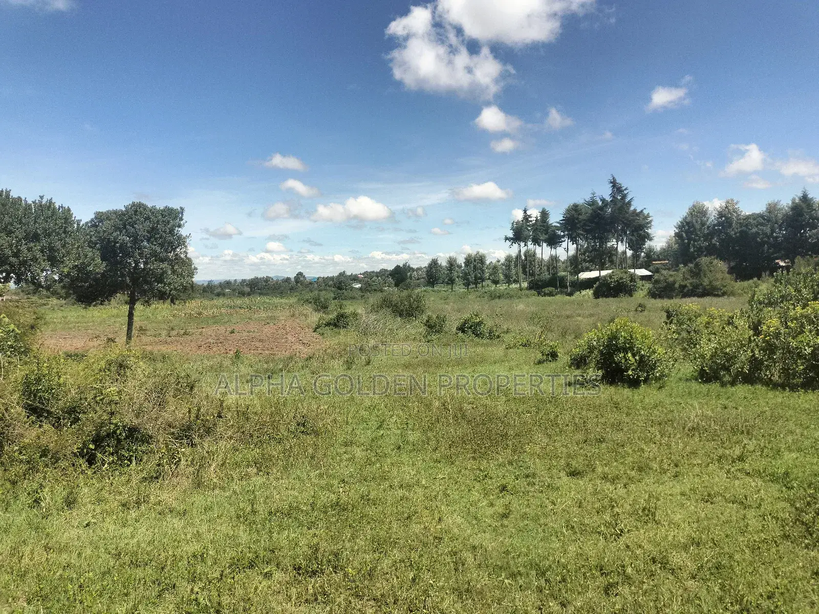2 Acres on Highway [ Narumoru ]