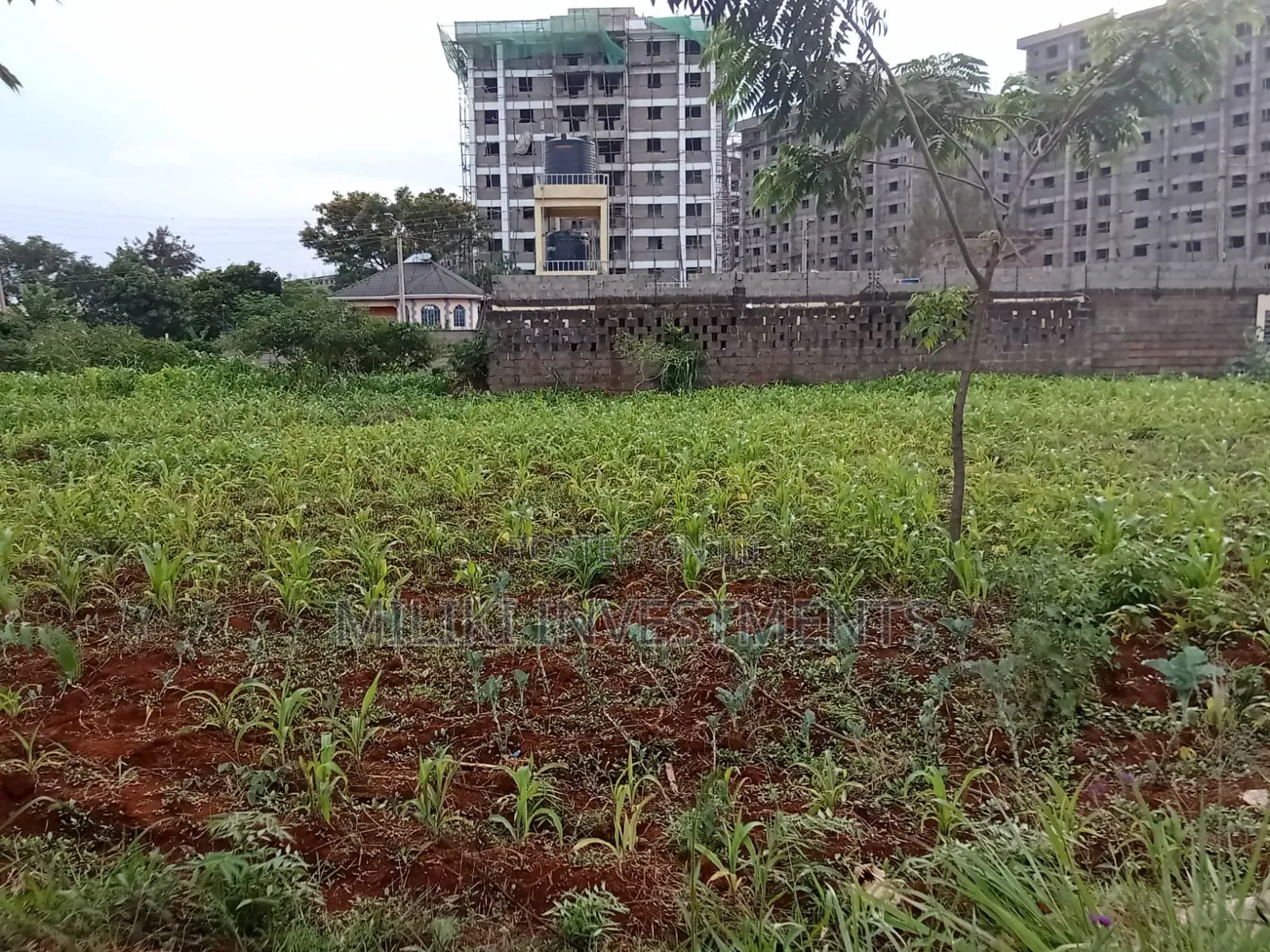 Commercial Plot on Sale at Ruiru
