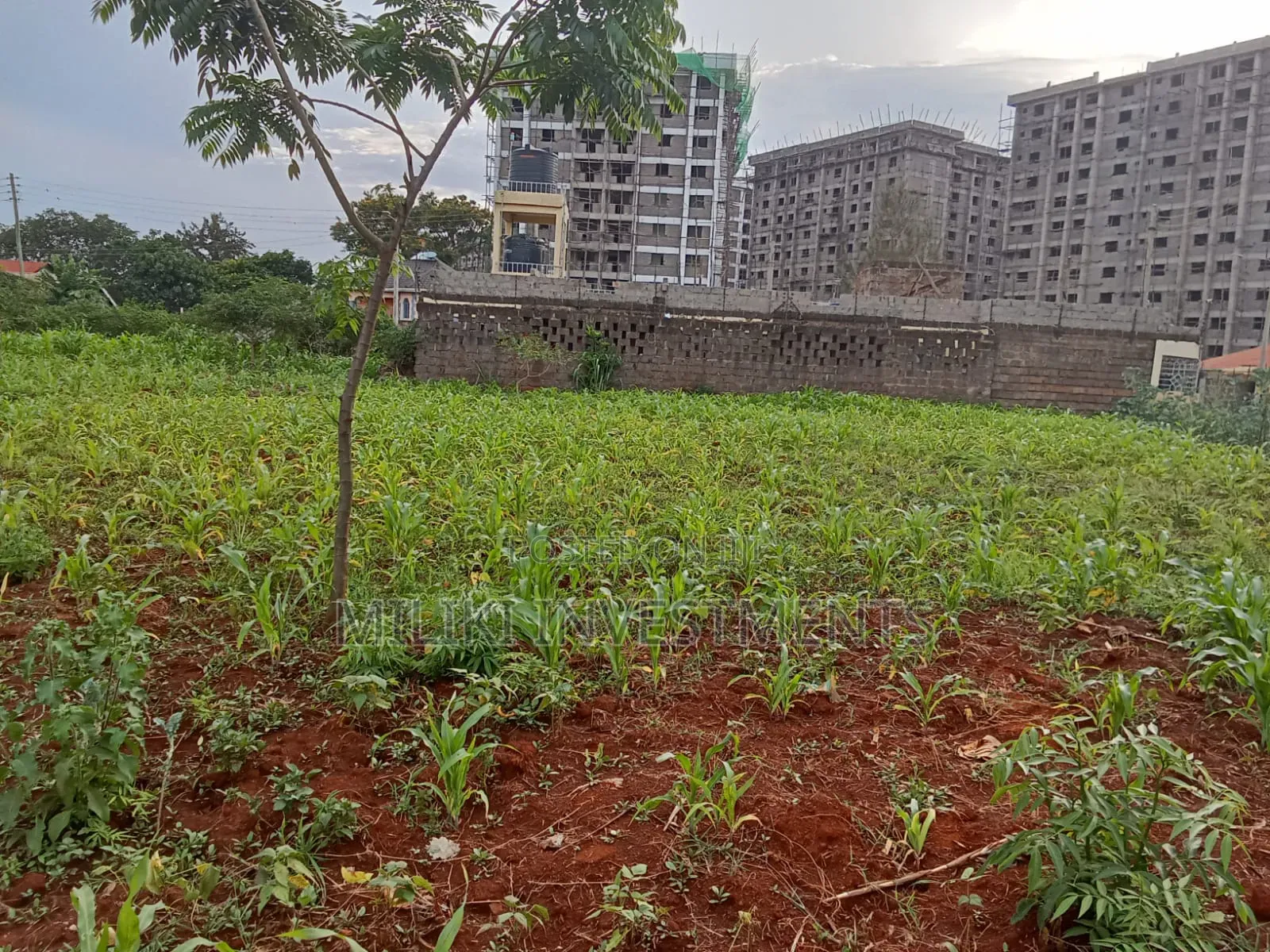 Commercial Plot on Sale at Ruiru