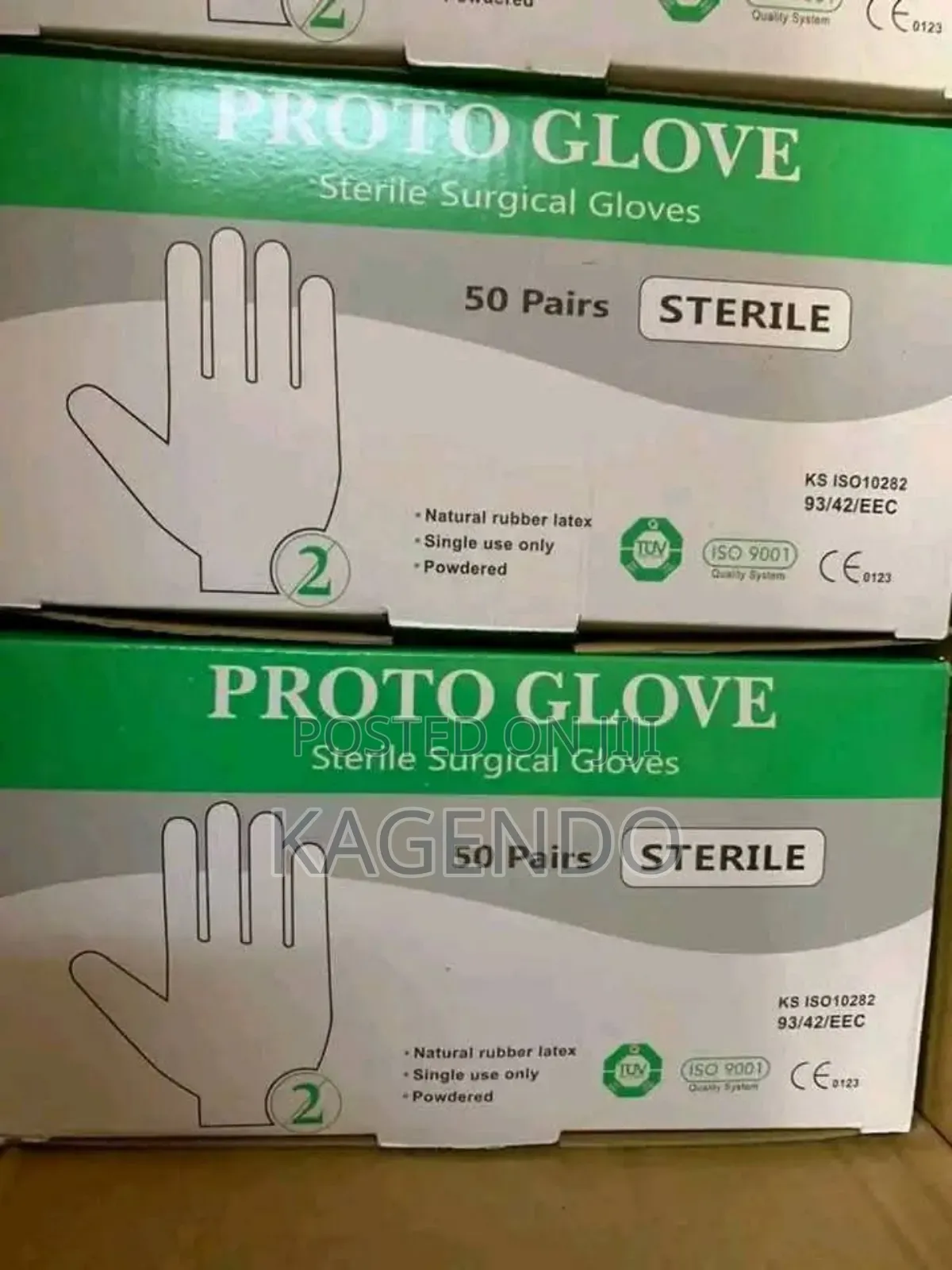 Surgical Gloves