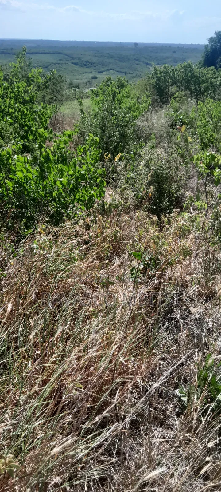 160 Acres Forsale in Matolani Baricho Good for Agricultural.
