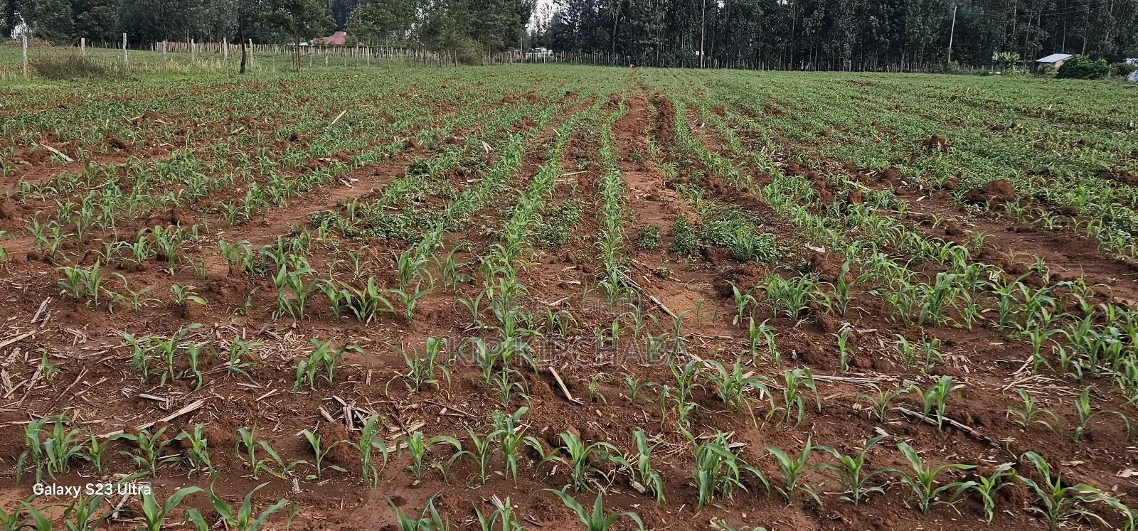 2 Acres for Sale in Say Eldoret