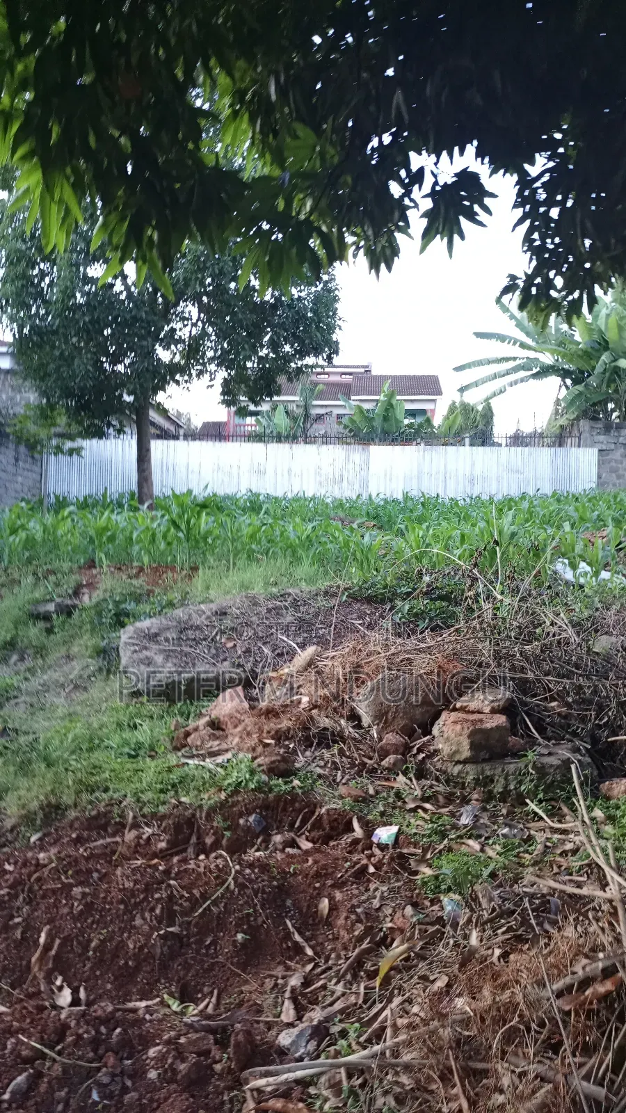 Prime Commercial Plot 1/4 Acre, Kiamumbi