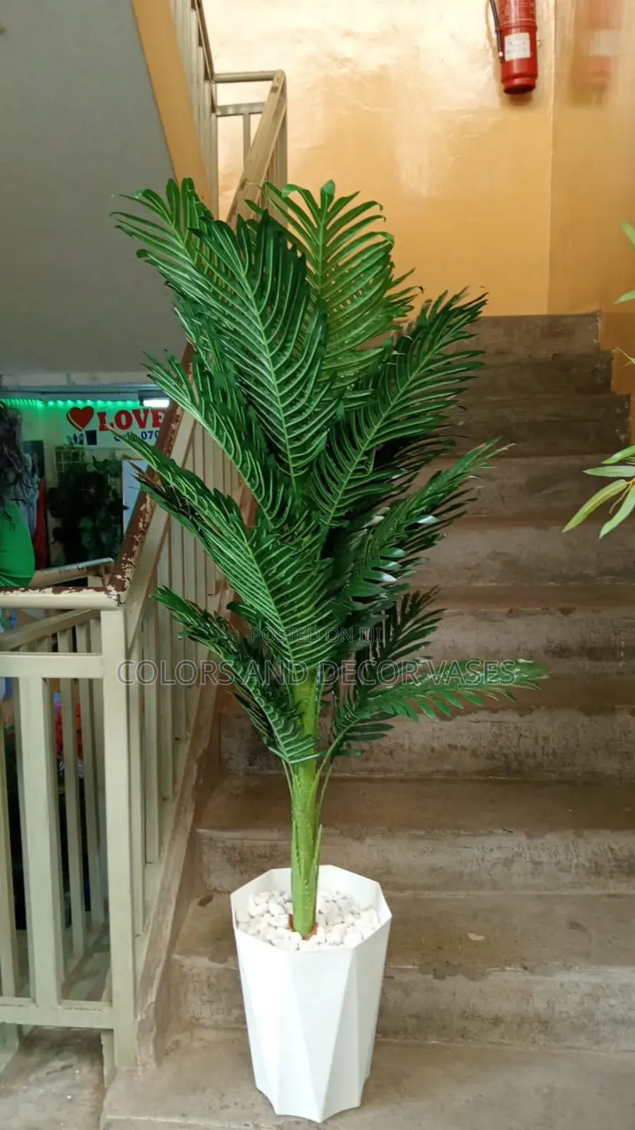 Palm Tree and White Plastic Vase