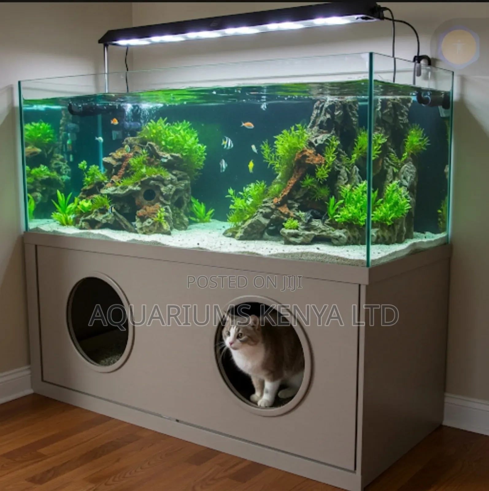 Multi Pet Aquarium , Cat Aquarium