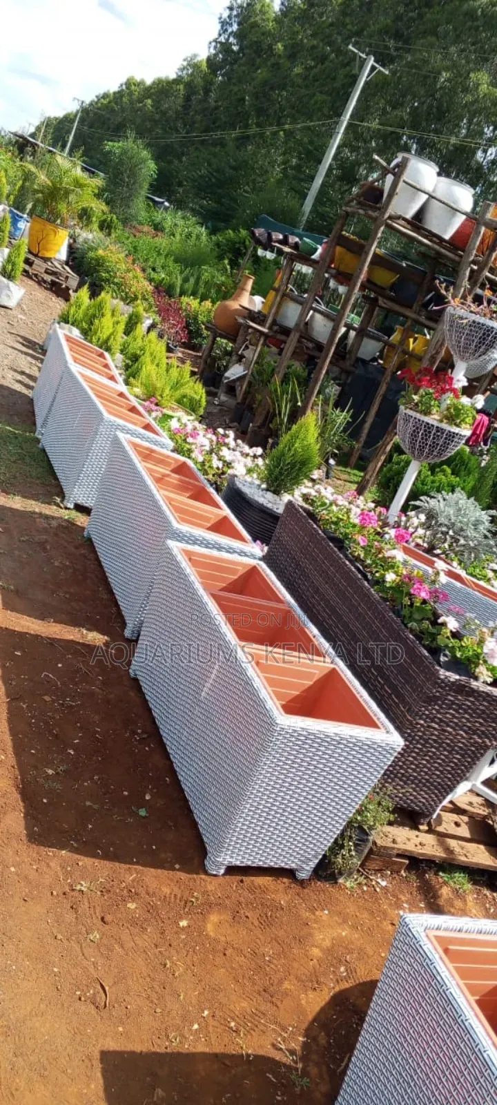 Rattan Flower Pots, Rectangular in 4ft