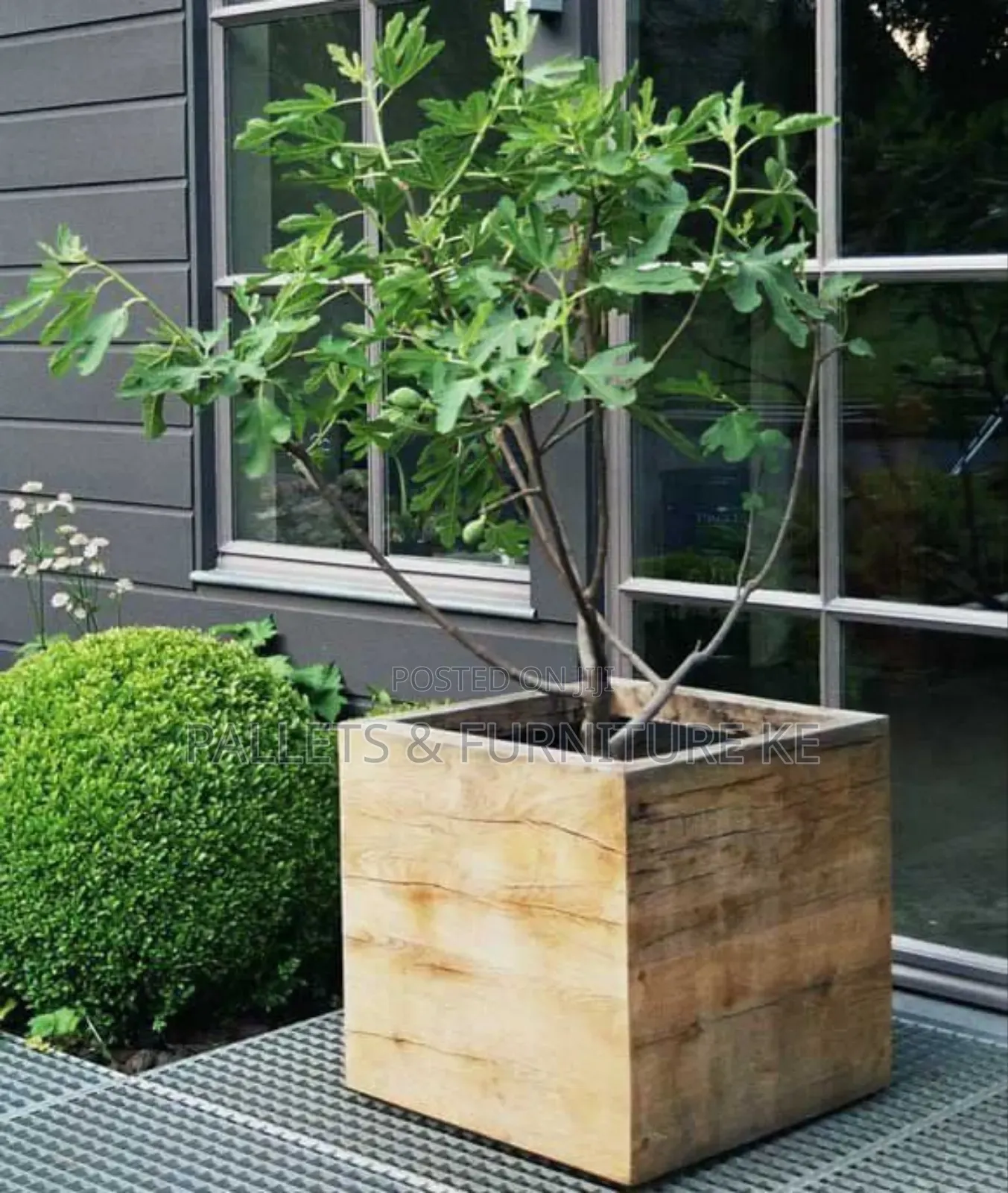 The Planted Post