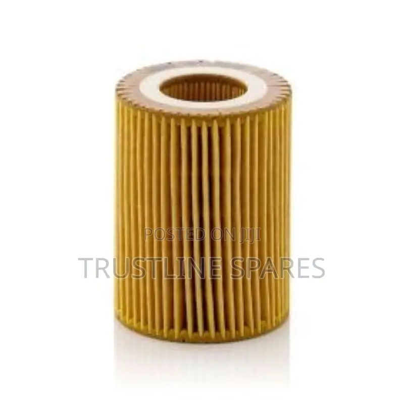 Oil Filter (11427635557)