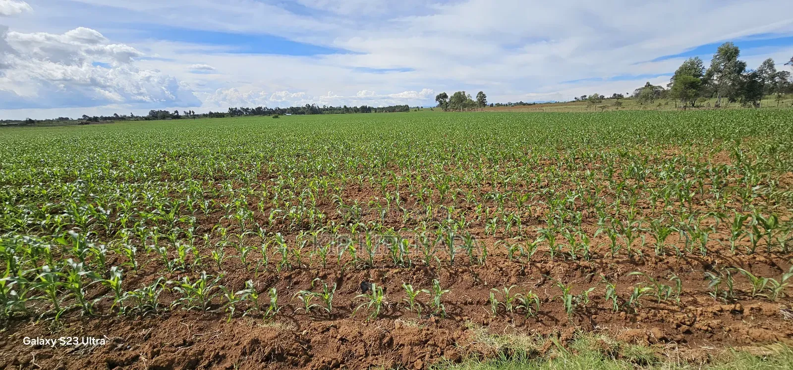 4 Acres for Sale in Kapropu Eldoret Fully Arable
