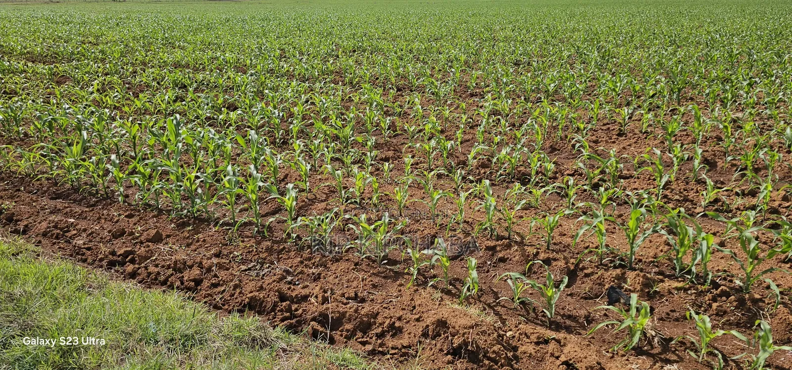 4 Acres for Sale in Kapropu Eldoret Fully Arable