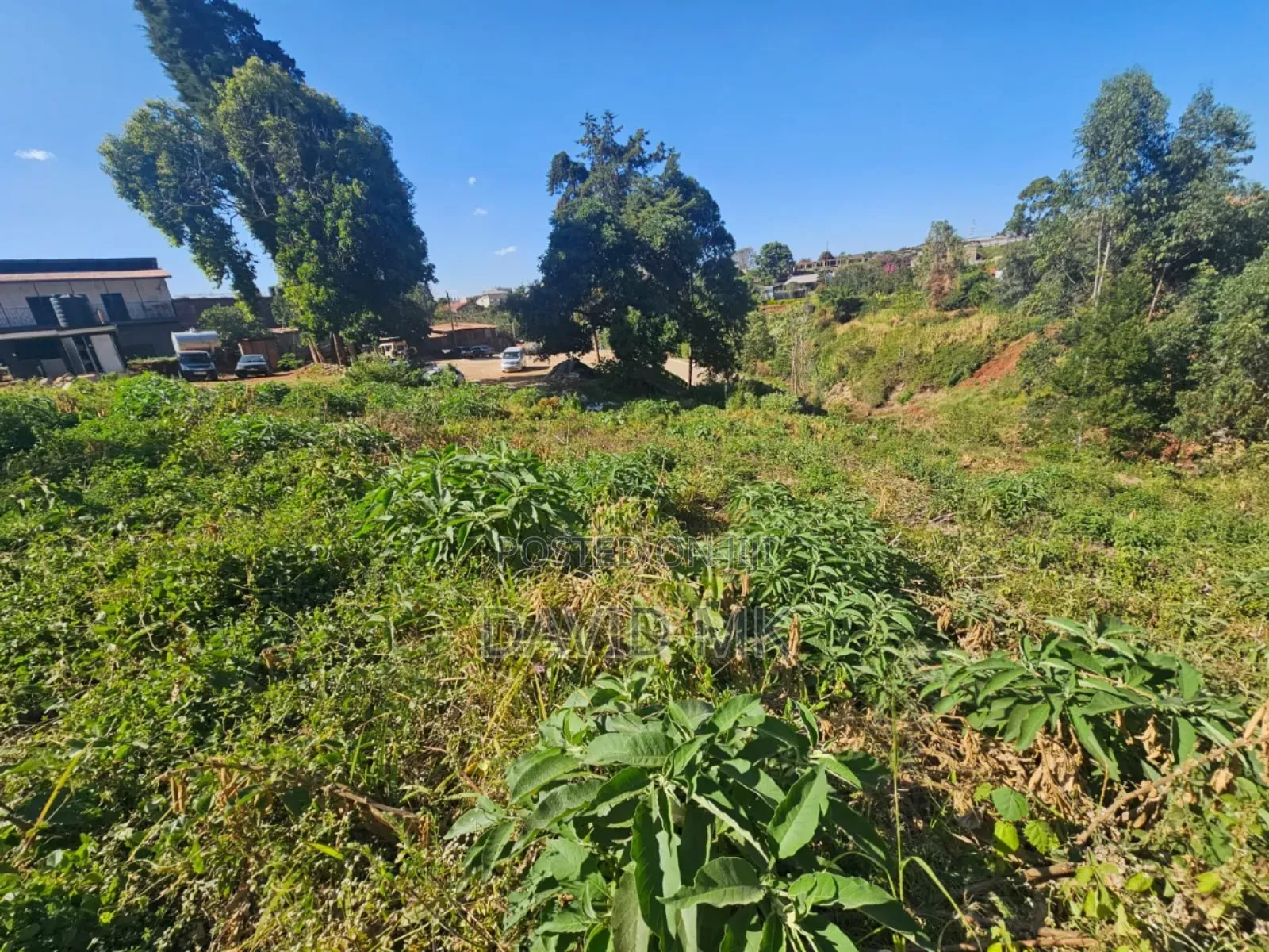 1.25acres Ruaka Two River